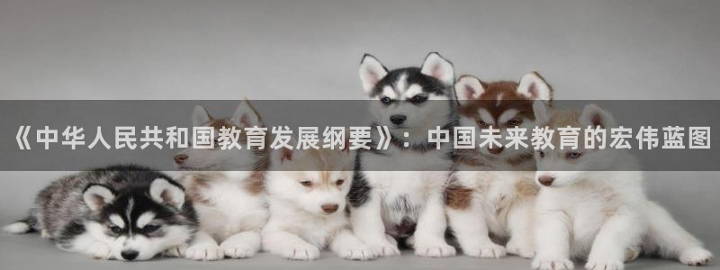 安信锐赢134号12月