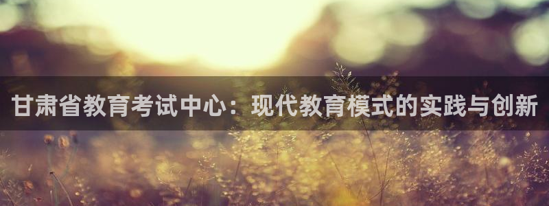 安信安翼 12账号