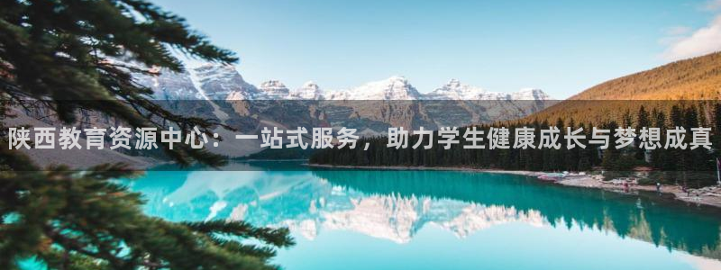 安信12平台介绍