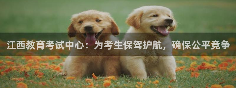 安信12位数资金号