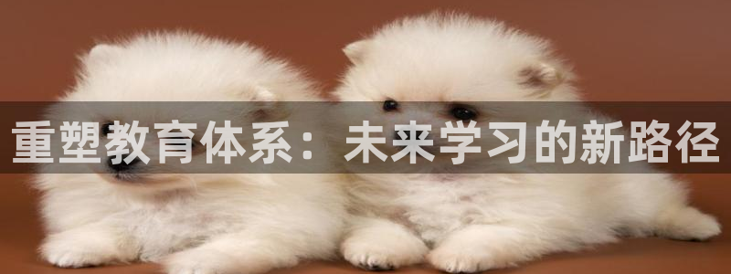 安信12平台怎么样