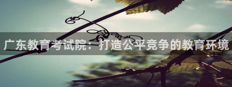 安信12娱乐7o777还