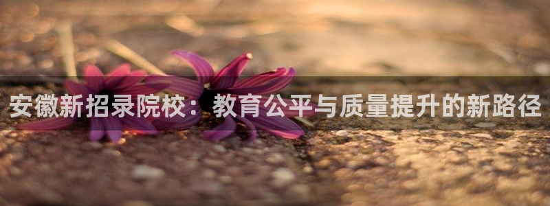 安信12位数资金号