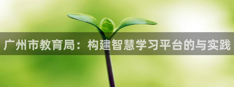 安信12软件介绍