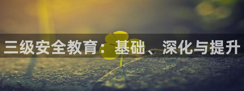 安信12平台官网