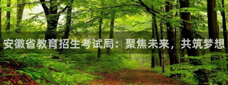 安信12是什么平台