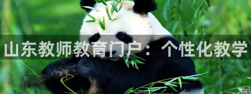 安信12正版下载